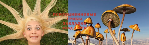 мескалин Вяземский